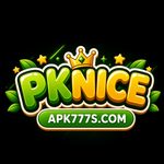 PKNICE Game